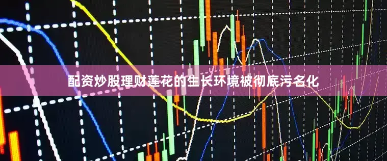 配资炒股理财莲花的生长环境被彻底污名化